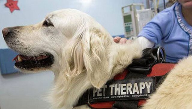 Asl Roma 4, interventi assistiti con gli animali