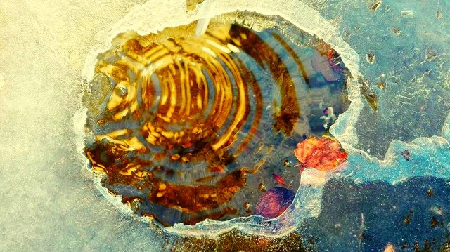 Meraviglie del creato (foto Patrizia Peris)