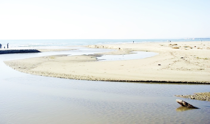 Bio-plastic blitz, gli alunni diventano guardie ambientali