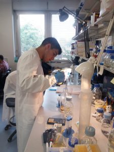 Migliori, un successo dietro l'altro: primo alla scuola superiore Sant'Anna di Pisa