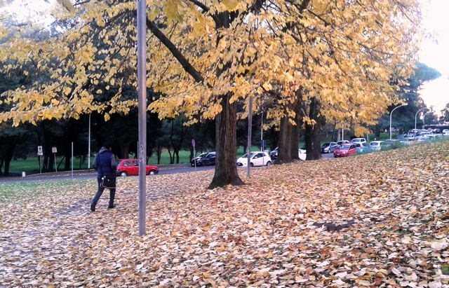 Autumn (foto Rosario Sasso)