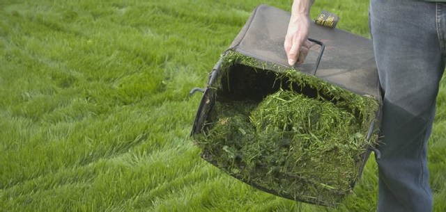 Riparte il servizio di raccolta scarti vegetali a Montalto Marina