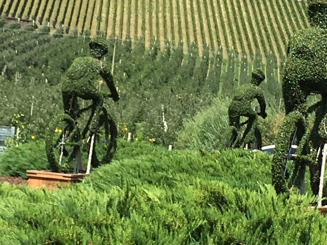 Ciclisti in erba (foto Adalberto Bencini)