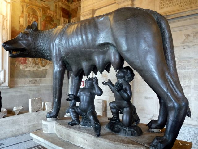 La lupa (foto Pina Irato)