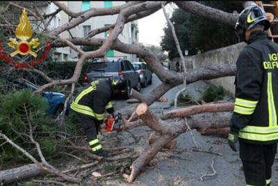 Il vento piega l'Italia, un morto in Calabria