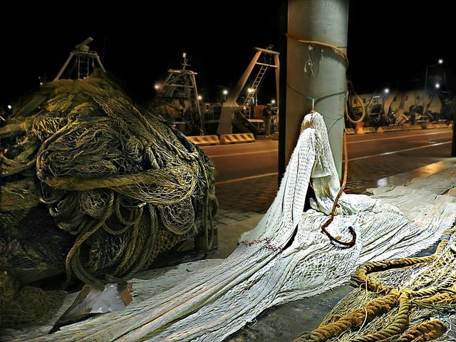 Reti in darsena (foto Mauro Mari)
