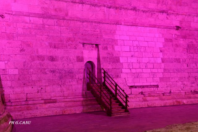 Pink (foto Giovanni Canu)