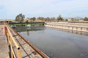 Fanghi di depurazione, collaborazione tra Enea e Flavia Servizi