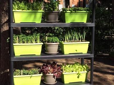 ‘‘Riciclo e coltivo’’, 175 kit per orti verticali