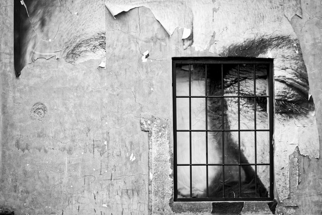 Le rughe del tempo (foto Raffaele Ballirano)