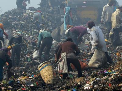 Nuovo ordine giuridico per salvare la terra
