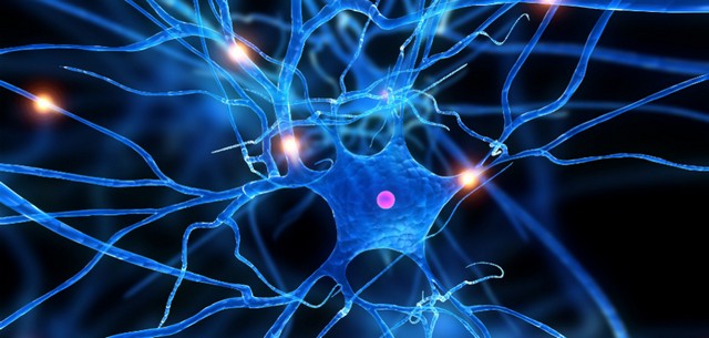 Sclerosi multipla, un weekend  dedicato alla formazione