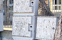 Guano alla scuola di Palidoro, gli alunni non entrano in classe