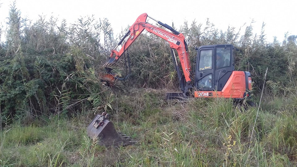 Palude di Torre Flavia, concluso l&rsquo;ultimo step per la chiusura del progetto di ripristino ambientale nell&rsquo;area di ampliamento