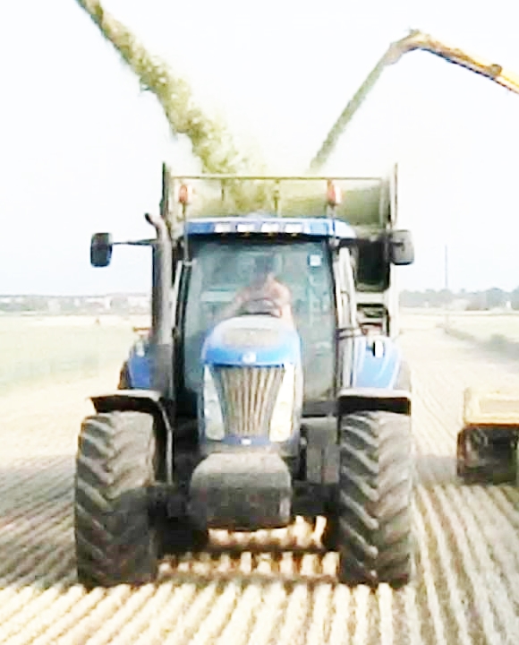A Maccarese corsi per operatore e tecnici agricoli