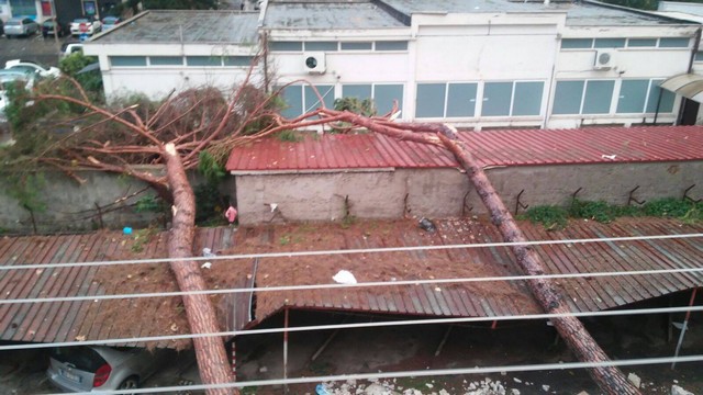 Maltempo, Porrello (M5S): "Zingaretti dichiari lo stato di calamit&agrave;"