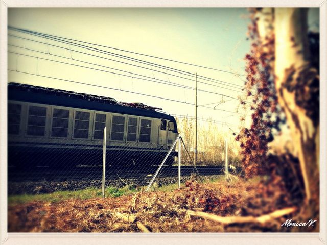 Il treno (foto Monica Volpi)