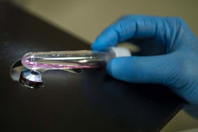 "Zika non pi&ugrave; un&rsquo;emergenza"