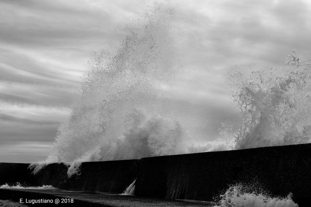 Libeccio (foto Eleonora Lugustiano )