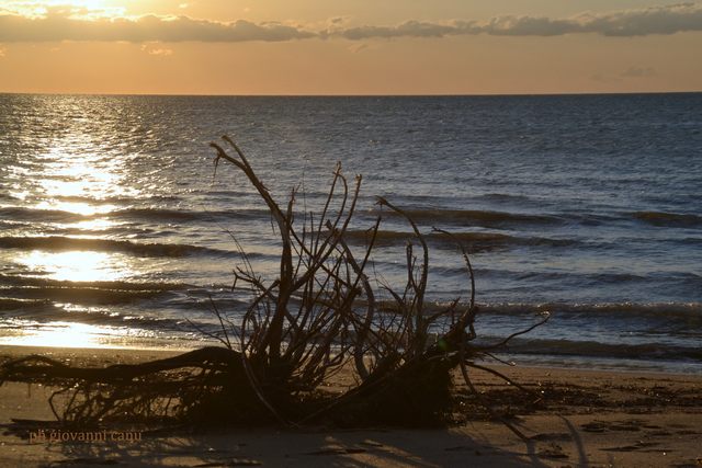 Questione di luce (foto Giovanni Canu)