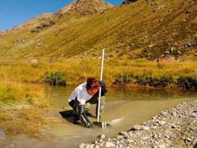 Pesticidi, rame e azadiractina sono nocivi