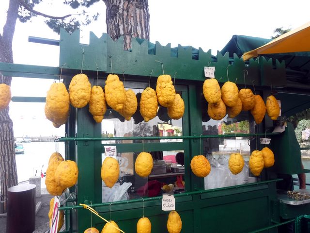 Cedri (foto Pina Irato)