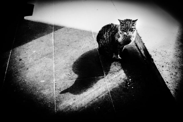 Guardami (foto Elisa La Malfa)