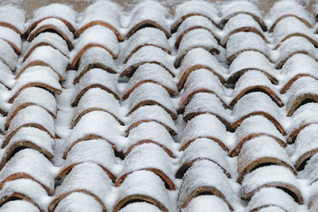 Snow (foto Alessandro Tarantino)
