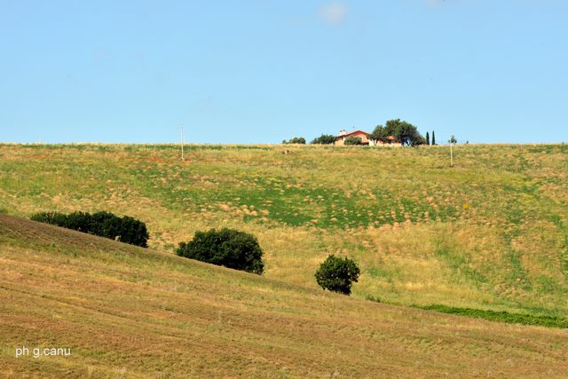Campagna tarquiniese (foto Giovanni Canu)