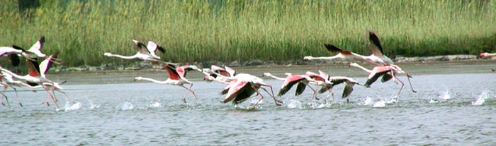 ''Volando sulla riserva''