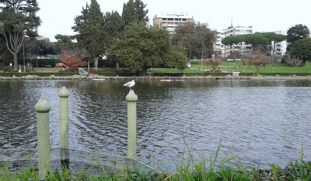 Laghetto Eur (foto Rosario Sasso)