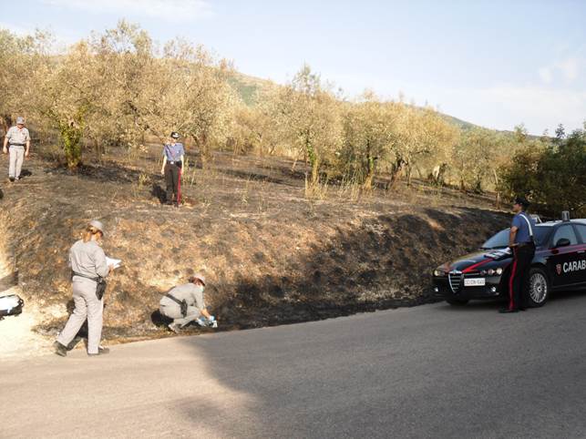 Castel Fusano: arrestato un altro piromane