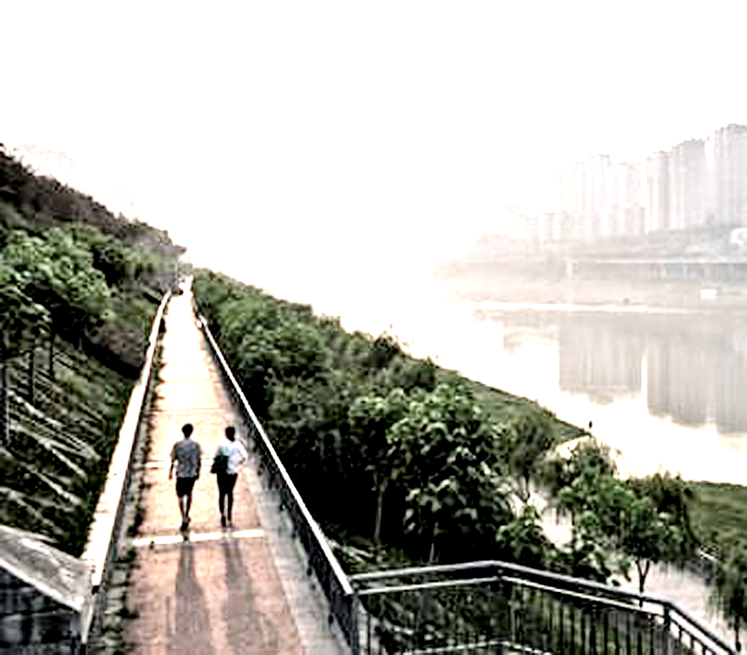 Pi&ugrave; alberi contro caldo e inquinamento