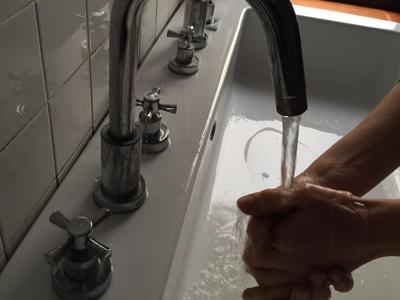 All&rsquo;origine del disgusto, indagine su germi e fobie