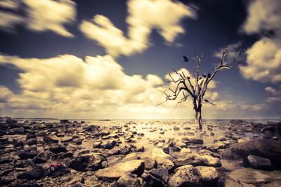 Migranti ambientali, 350 mln entro 2050