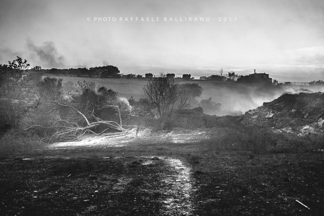Desolazione (foto Raffaele Ballirano)