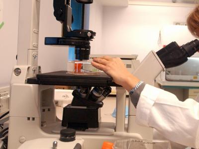 A Bologna il primo beb&egrave; venuto dal freddo