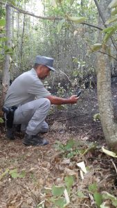 Carabinieri Forestale, incendi boschivi: un arresto a Viterbo