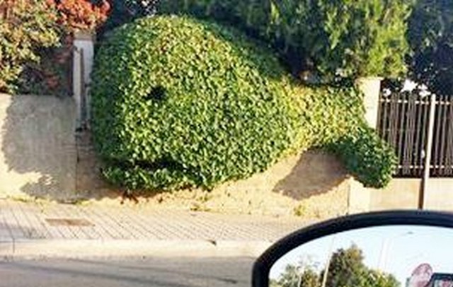 Un ordine assurdo: la balena verde va rimossa