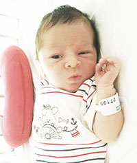 L'agenda del 28 luglio