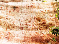 Foresta pluviale, in Colombia la pi&ugrave; grande area protetta