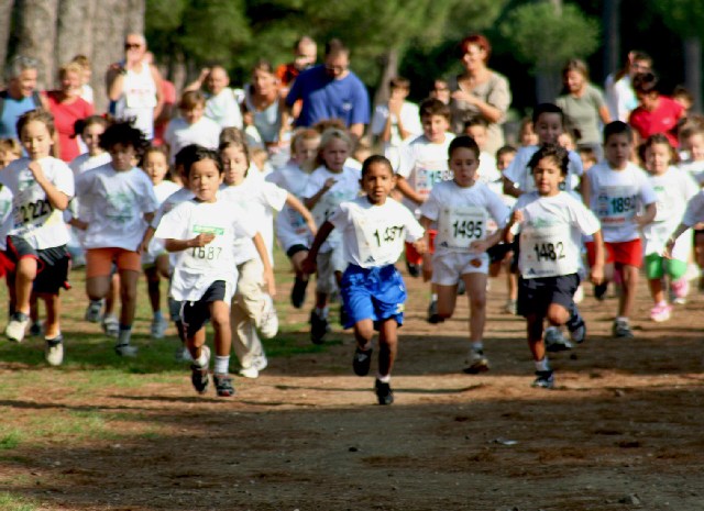 La &lsquo;&lsquo;Salvo D&rsquo;Acquisto&rsquo;&rsquo; senza classi tradizionali e in costante innovazione