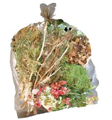 Sfalci verdi conferibili accanto al mastello dell&rsquo;umido