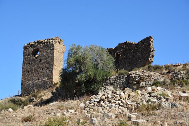 Cencelle (foto Giovanni Canu)