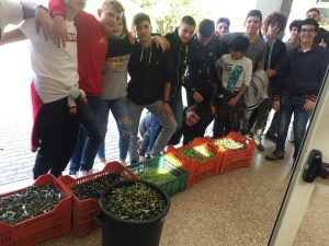 Cardarelli Tarquinia, gli studenti di Agraria raccolgono le olive