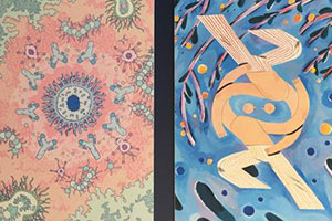 Immunoterapia musa per l’arte