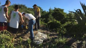 Fregene, Oasi Bosco Foce dell&rsquo;Arrone: il piano di rinascita