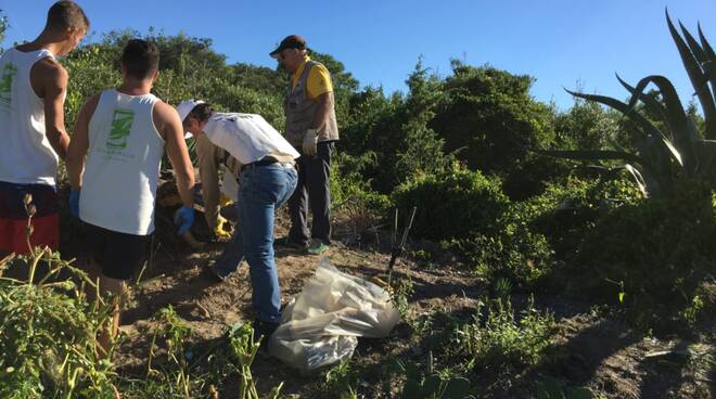 Fregene, Oasi Bosco Foce dell&rsquo;Arrone: il piano di rinascita
