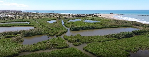 &laquo;Un distributore vicino la Palude&raquo;