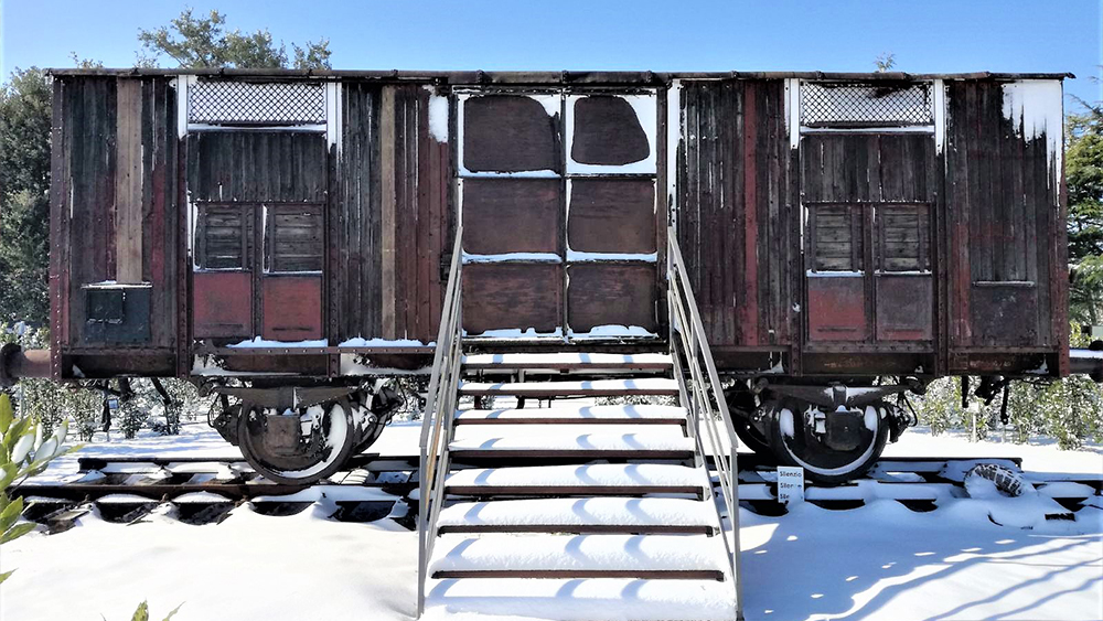 Per non dimenticare, le classi quinte dell&rsquo;IISS V. Cardarelli al Memoriale della Memoria